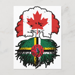 Dominica Dominican Canadian Träd Roots Flagga Vykort