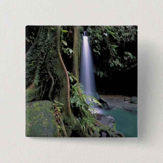 Dominica, Emerald Bassäng, Waterfall. Knapp (Framsida)
