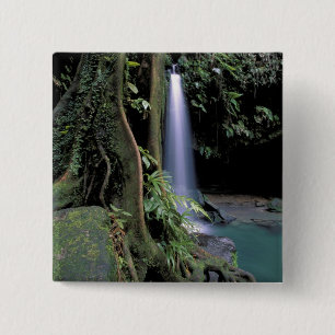 Dominica, Emerald Bassäng, Waterfall. Knapp