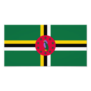 Dominica Flagga Fototryck