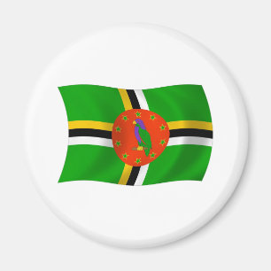 Dominica Flagga Magnet