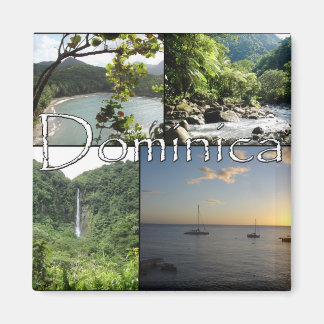 Dominica Magnets synpunkter Magnet