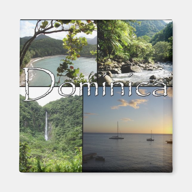 Dominica Magnets synpunkter Magnet (Framsidan)