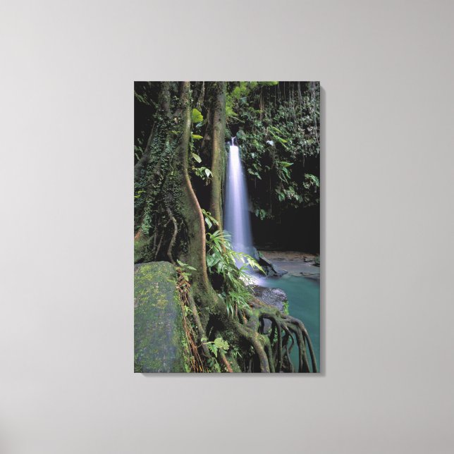 Dominica, Smaragdpoolen, Vattenfall. Canvastryck (Framsida)