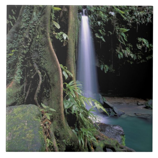 Dominica, Smaragdpoolen, Vattenfall. Kakelplatta (Framsidan)
