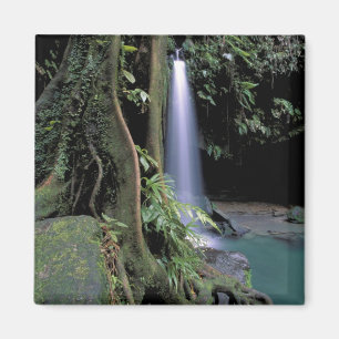 Dominica, Smaragdpoolen, Vattenfall. Magnet