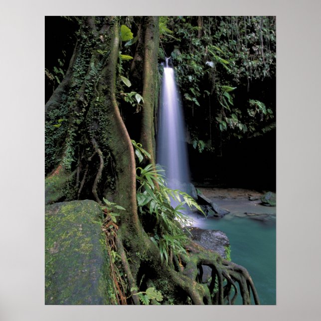 Dominica, Smaragdpoolen, Vattenfall. Poster (Framsidan)