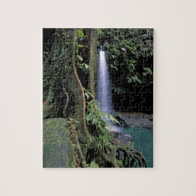 Dominica, Smaragdpoolen, Vattenfall. Pussel (Vertikal)