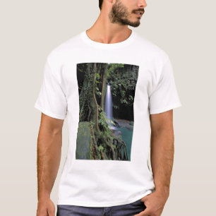 Dominica, Smaragdpoolen, Vattenfall. Tee
