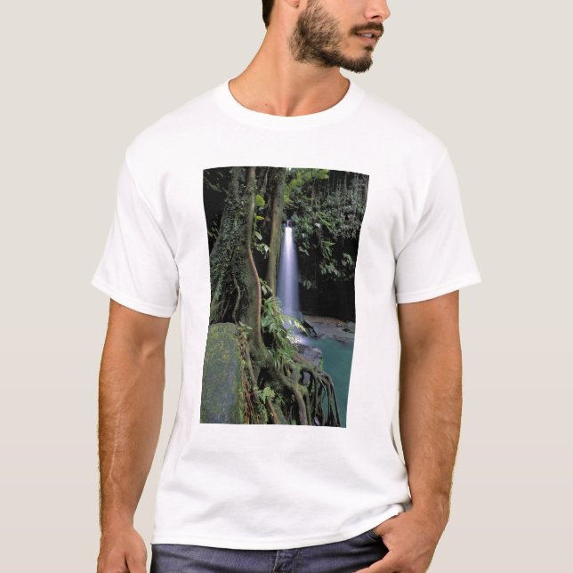 Dominica, Smaragdpoolen, Vattenfall. Tee (Framsida)