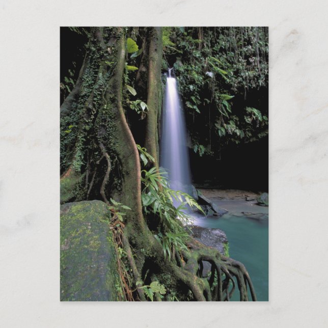 Dominica, Smaragdpoolen, Vattenfall. Vykort (Framsida)