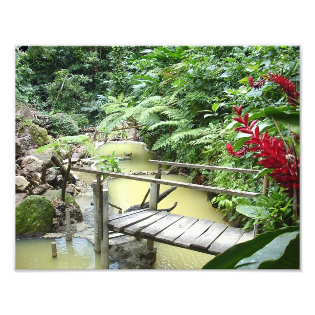 Dominica Sulpher bassäng Fototryck (Framsidan)