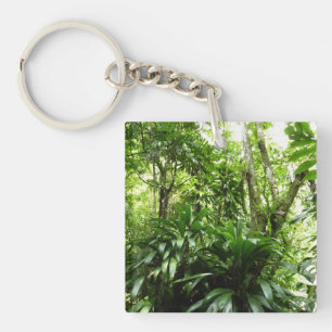 Dominican Rain Forest I Tropical Grönt Nature