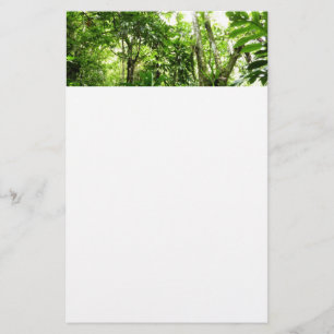 Dominican Rain Forest I Tropical Grönt Nature Brevpapper