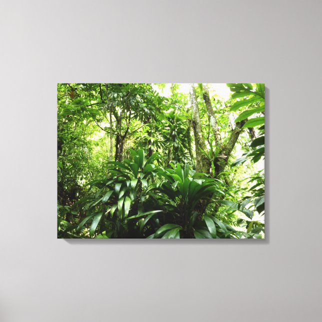 Dominican Rain Forest I Tropical Grönt Nature Canvastryck (Framsida)