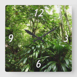 Dominican Rain Forest I Tropical Grönt Nature Fyrkantig Klocka