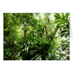 Dominican Rain Forest I Tropical Grönt Nature Hälsningskort