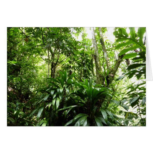 Dominican Rain Forest I Tropical Grönt Nature Hälsningskort (Framsidan Horizontal)