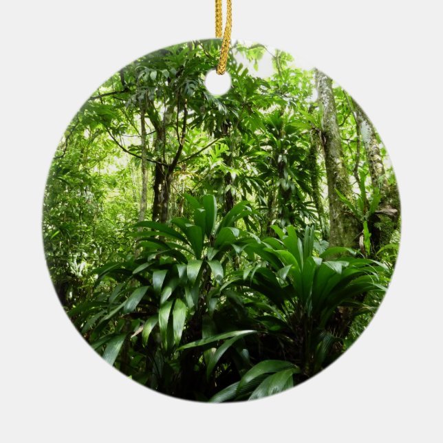Dominican Rain Forest I Tropical Grönt Nature Julgransprydnad Keramik (Framsidan)