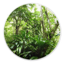 Dominican Rain Forest I Tropical Grönt Nature