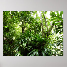 Dominican Rain Forest I Tropical Grönt Nature Poster