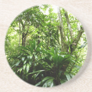 Dominican Rain Forest I Tropical Grönt Nature Underlägg