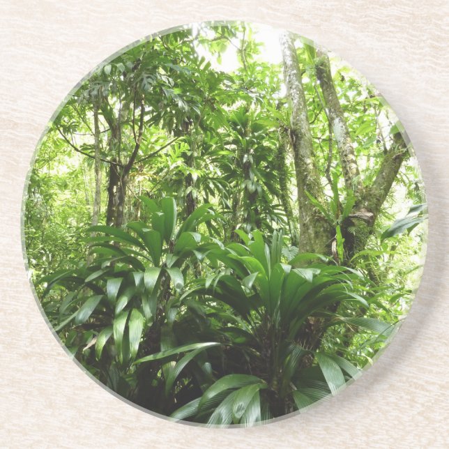 Dominican Rain Forest I Tropical Grönt Nature Underlägg (Framsidan)