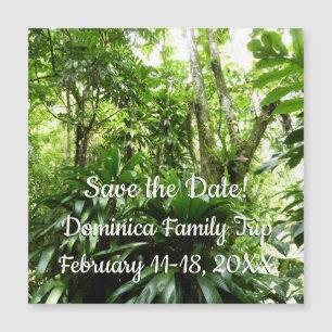 Dominican Rain Forest I Tropical Spara datumet