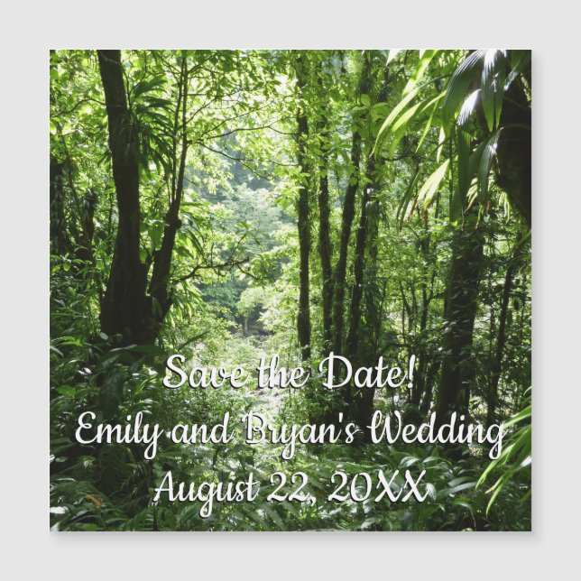 Dominican Rain Forest II Tropical Grönt (Framsida)