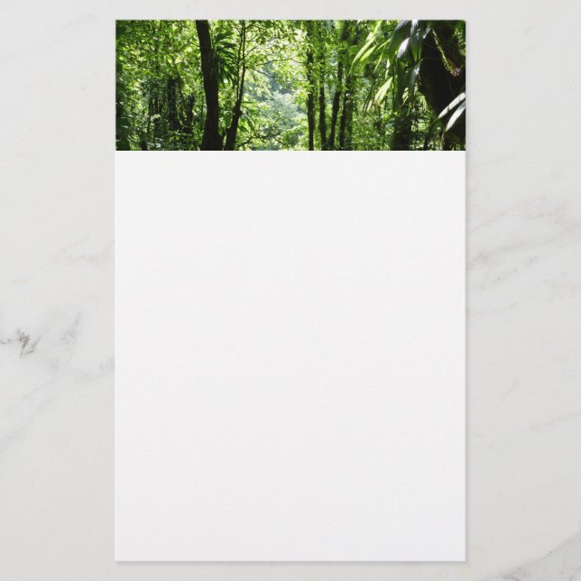 Dominican Rain Forest II Tropical Grönt Brevpapper (Framsida)