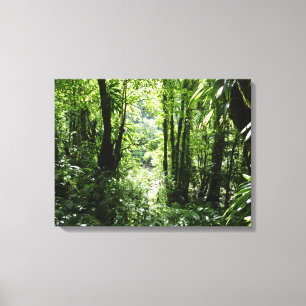 Dominican Rain Forest II Tropical Grönt Canvastryck