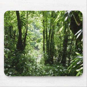 Dominican Rain Forest II Tropical Grönt Musmatta