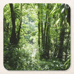 Dominican Rain Forest II Tropical Grönt Underlägg Papper Kvadrat