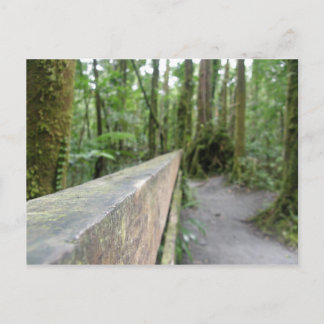 DOMINICAS REGNSKOGSVY VYKORT