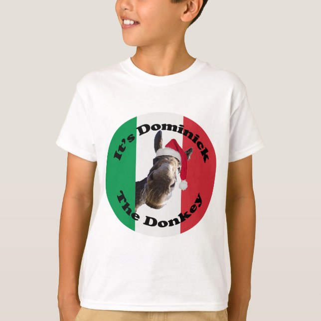 dominick åsnan tee (Framsida)