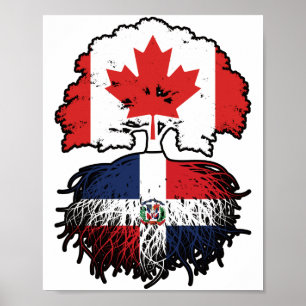 Dominikanska republiken Dominikanska kanadenkankan Poster