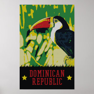 Dominikanska republiken fantastisk tucan Postcard Poster