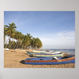 Dominikanska republiken, nordkust, Nagua, strand Poster