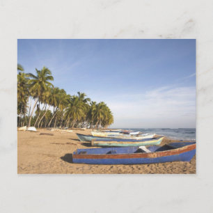 Dominikanska republiken, nordkust, Nagua, strand Vykort