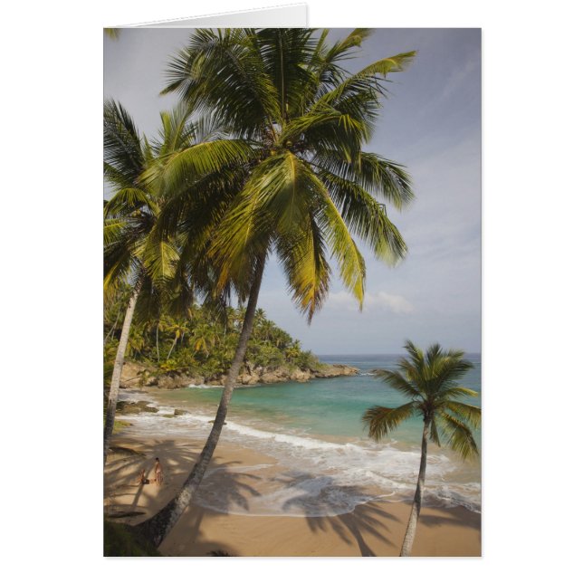 Dominikanska republiken, NordKusten, Abreu, Playa Hälsningskort (Framsidan)