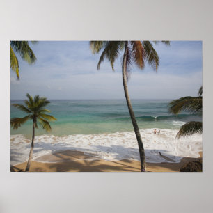 Dominikanska republiken, NordKusten, Abreu, Playa Poster