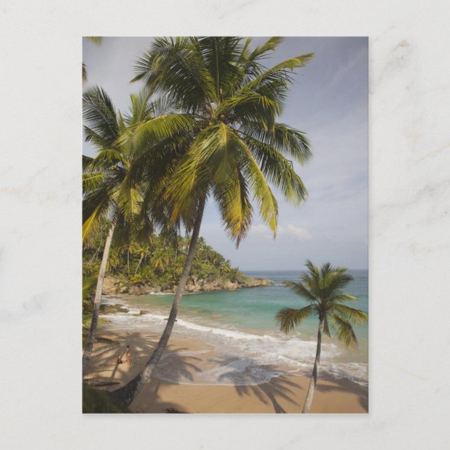 Dominikanska republiken, NordKusten, Abreu, Playa Vykort (Framsida)