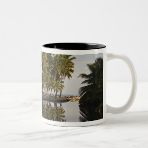 Dominikanska republiken, nordkusten, Nagua, Playa Två-Tonad Mugg