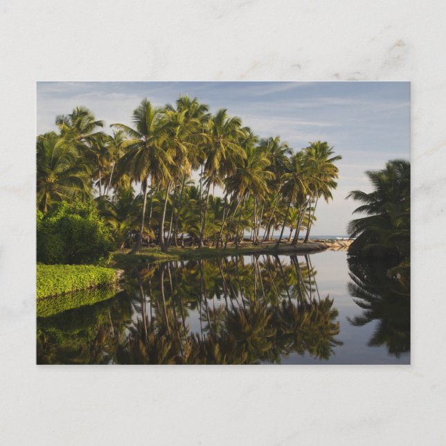 Dominikanska republiken, norra Kusten, Nagua, Play Vykort (Framsida)