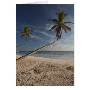 Dominikanska republiken, Punta Cana-regionen, Bava Hälsningskort
