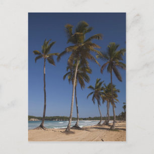 Dominikanska republiken, Punta Cana-regionen, El Vykort