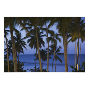 Dominikanska republiken, Samana-halvön, Las Fototryck