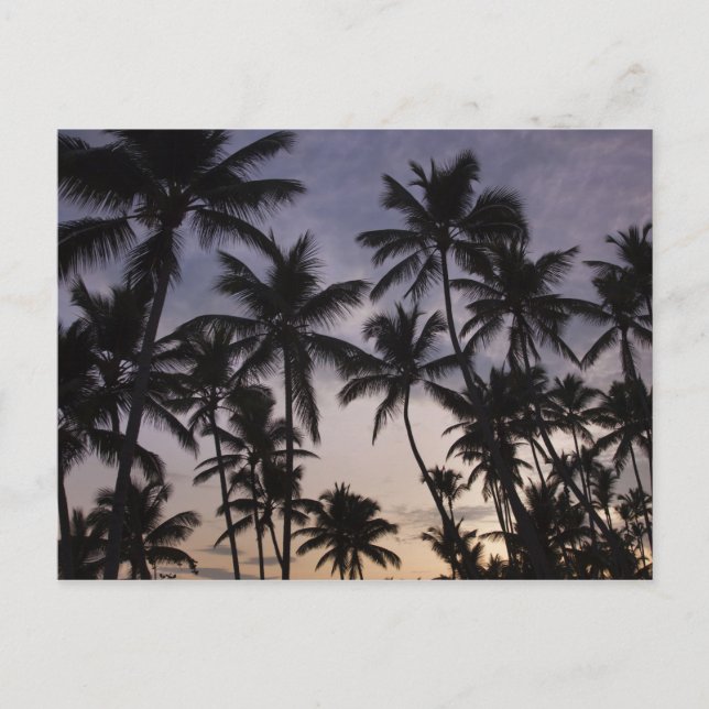 Dominikanska republiken, Samana Peninsula, Las 2 Vykort (Framsida)