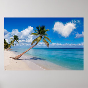Dominikanska republiken Saona Island Tropical Beac Poster
