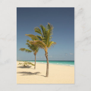 Dominikanska republiken Tropical Beach Vykort